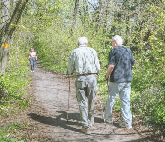 Ältere Menschen im Wald am "Walken"