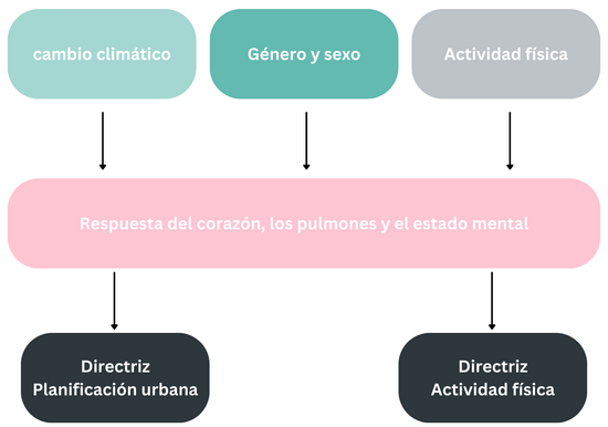 Flowchart of information