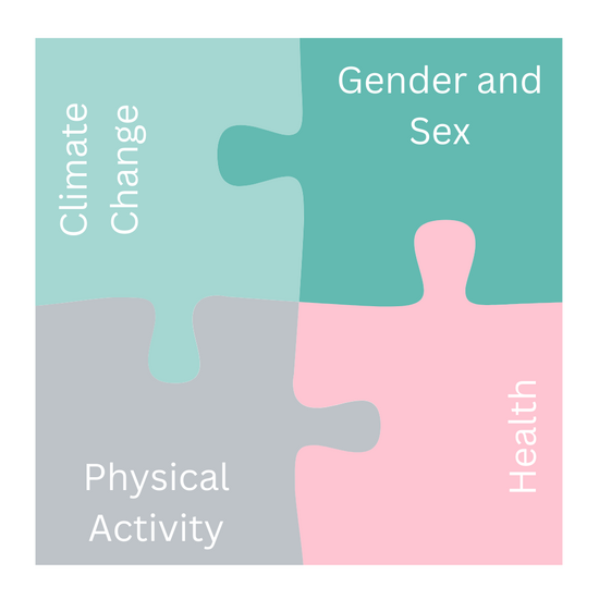 Symbolic picture of the fore aspects of the study