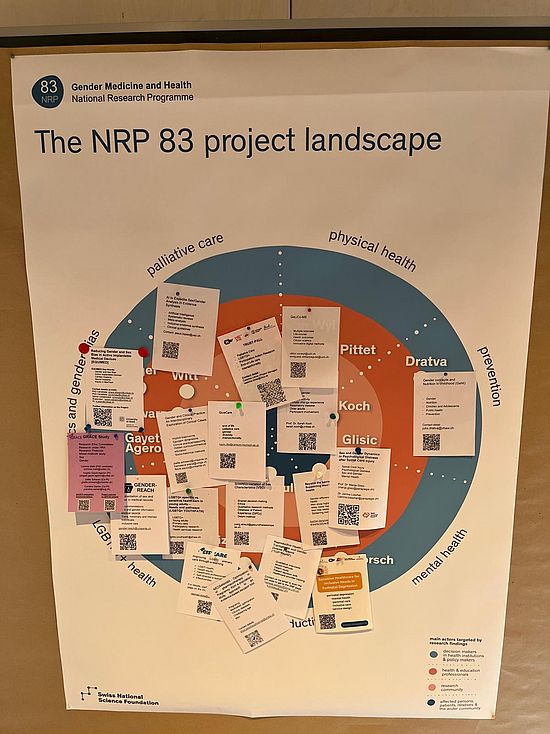 [Translate to English:] Abbildung mit der NRP 83 Projektlandschaft