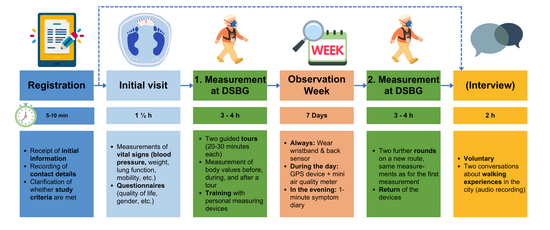 Overview of the Study procedure