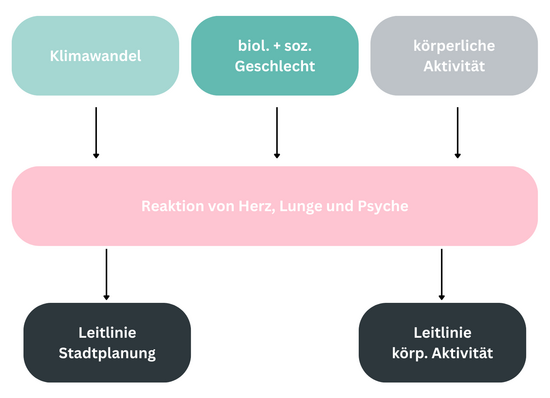 Schema zum Informationsflow der Studie