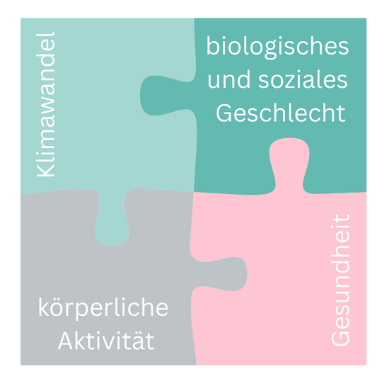 Symbolbild der vier Teilgebiete der Studie